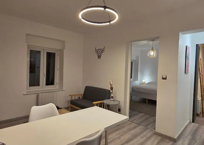 Lejlighed Ola Centre-ville T2 Renove Cocon Cosy Parking 30m2 *