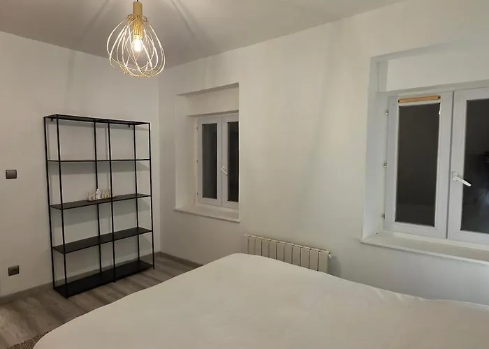 Ola Centre-ville T2 Renove Cocon Cosy Parking 30m2 Lejlighed Charleville-Mézières