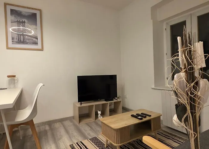 Ola Centre-ville T2 Renove Cocon Cosy Parking 30m2 Lejlighed *