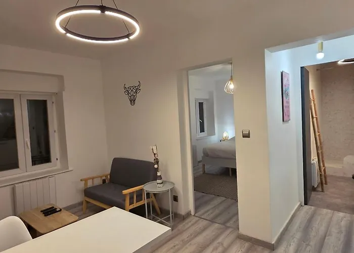 Ola Centre-ville T2 Renove Cocon Cosy Parking 30m2 * Charleville-Mézières