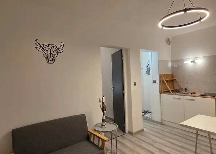 Ola Centre-ville T2 Renove Cocon Cosy Parking 30m2 * Charleville-Mézières